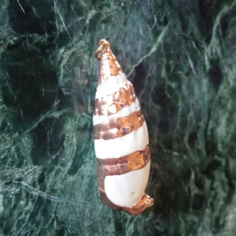 Gold Leaf plated seashell. New! Beautiful!